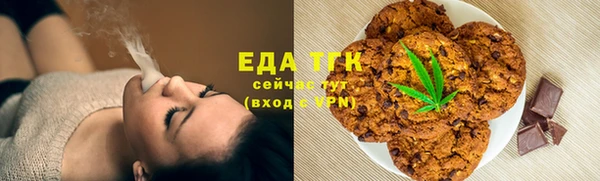 индика Киренск