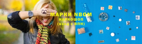индика Киренск
