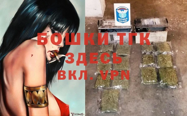 индика Киренск