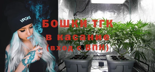 индика Киренск