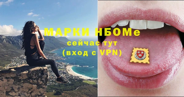 индика Киренск