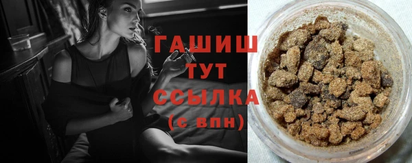 индика Киренск