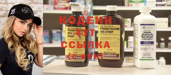 индика Киренск