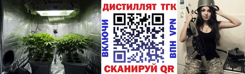 ТГК вейп  Купить где  Полярные Зори 