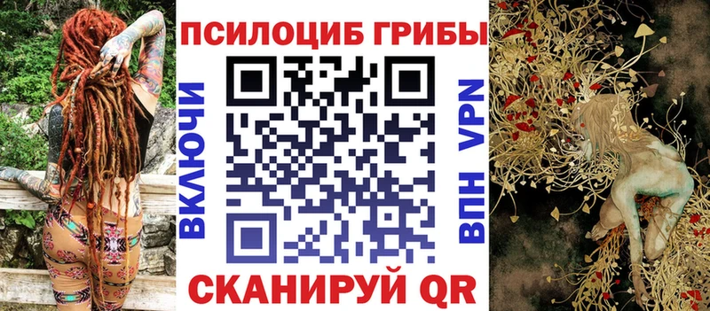 Псилоцибиновые грибы Psilocybe  Купить закладки  Полярные Зори 